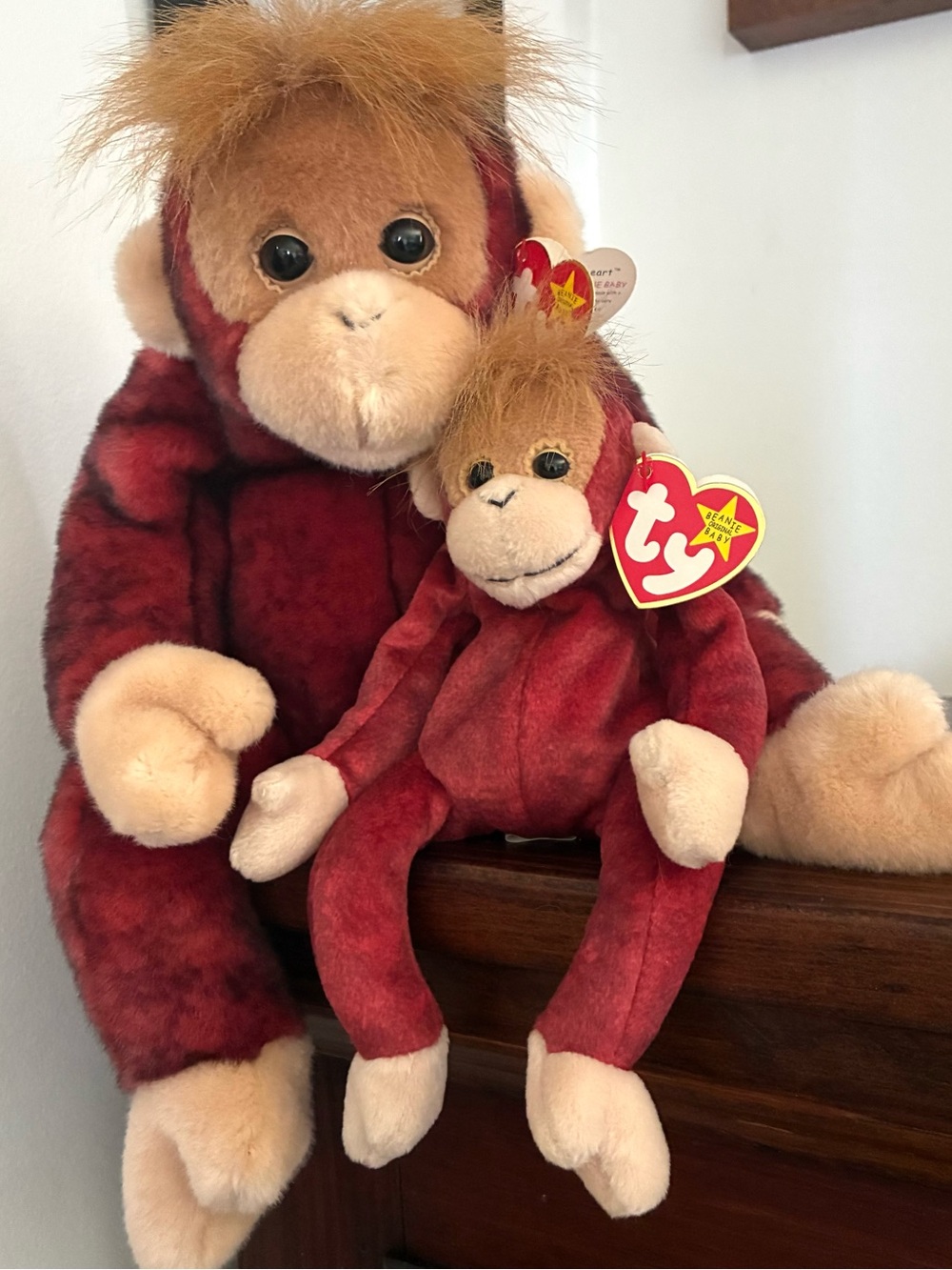 Ty Scheetheart Beanie and Buddy Size